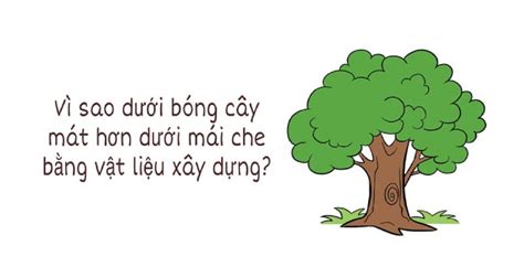  Con Chó Đứng Dưới Cây Bàng, Một Tác Phẩm Gợi Tưởng Lại Thời Thêm Về Sự Cô Đơn Và Niềm Khao Khát